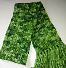 Load image into Gallery viewer, Green Variegated Winter Unisex Scarf with Fringe
